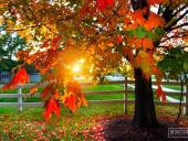 The Ultimate Fall Bucket List: Things To Do In Rochester & The Finger Lakes