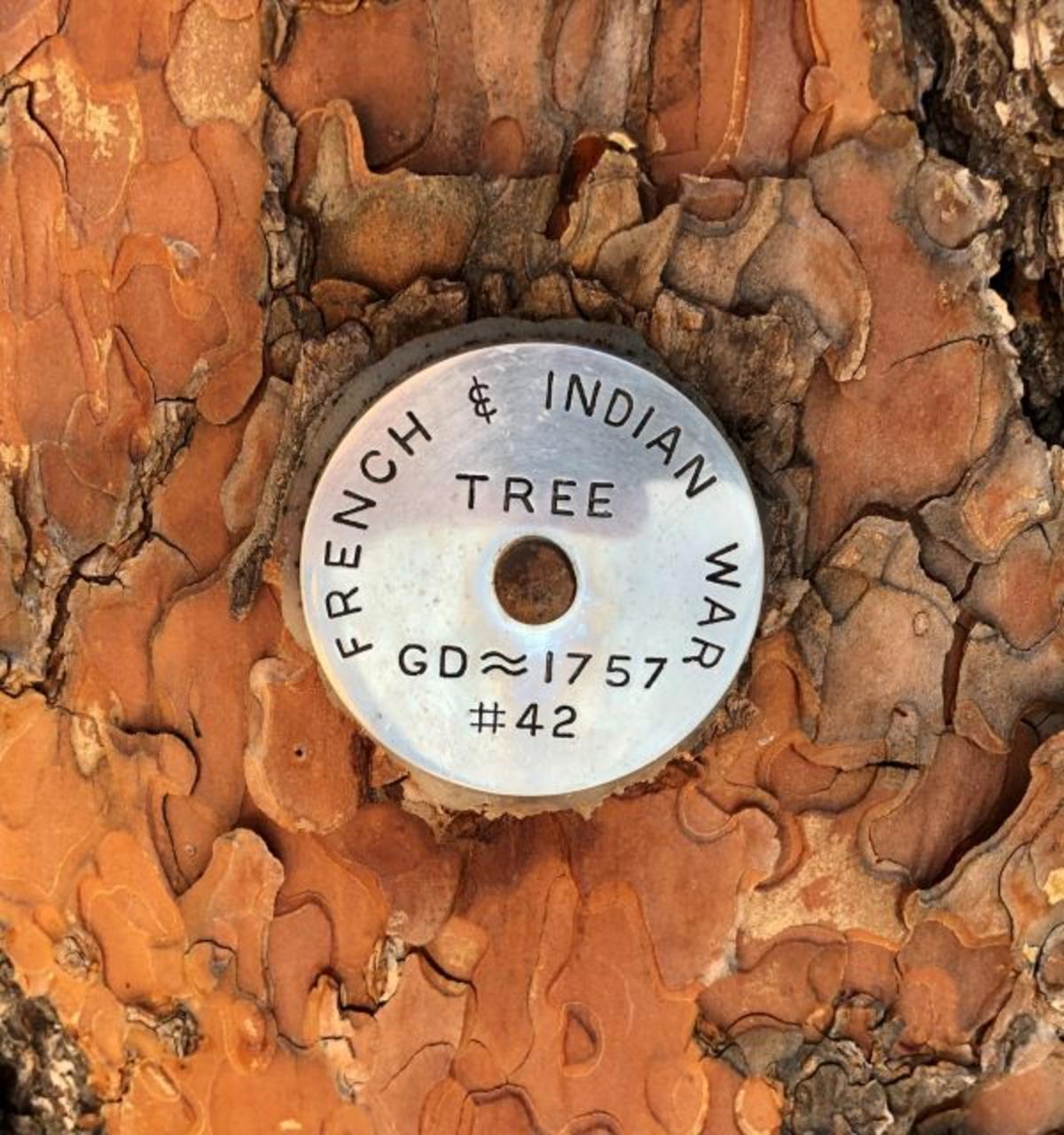 Medallion Tree