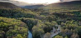 Drone photo of Bald Eagle State Forest