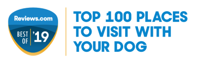 Top Place to Visit with your dog