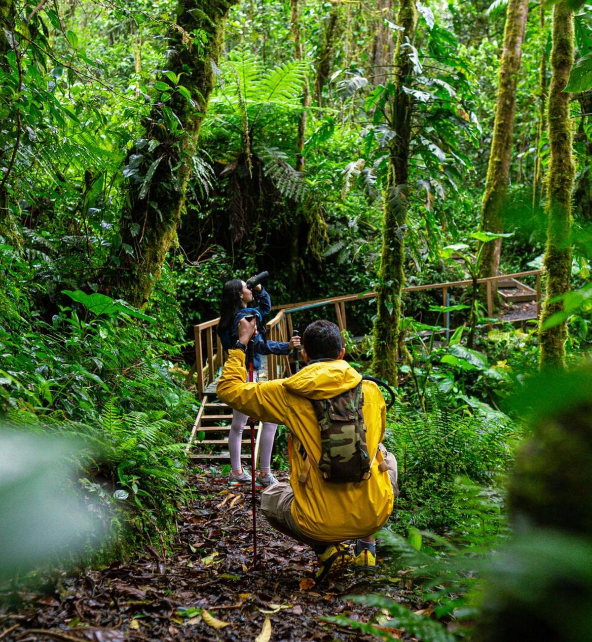La Amistad International Park, Cerro Punta, Chiriquí Province.
