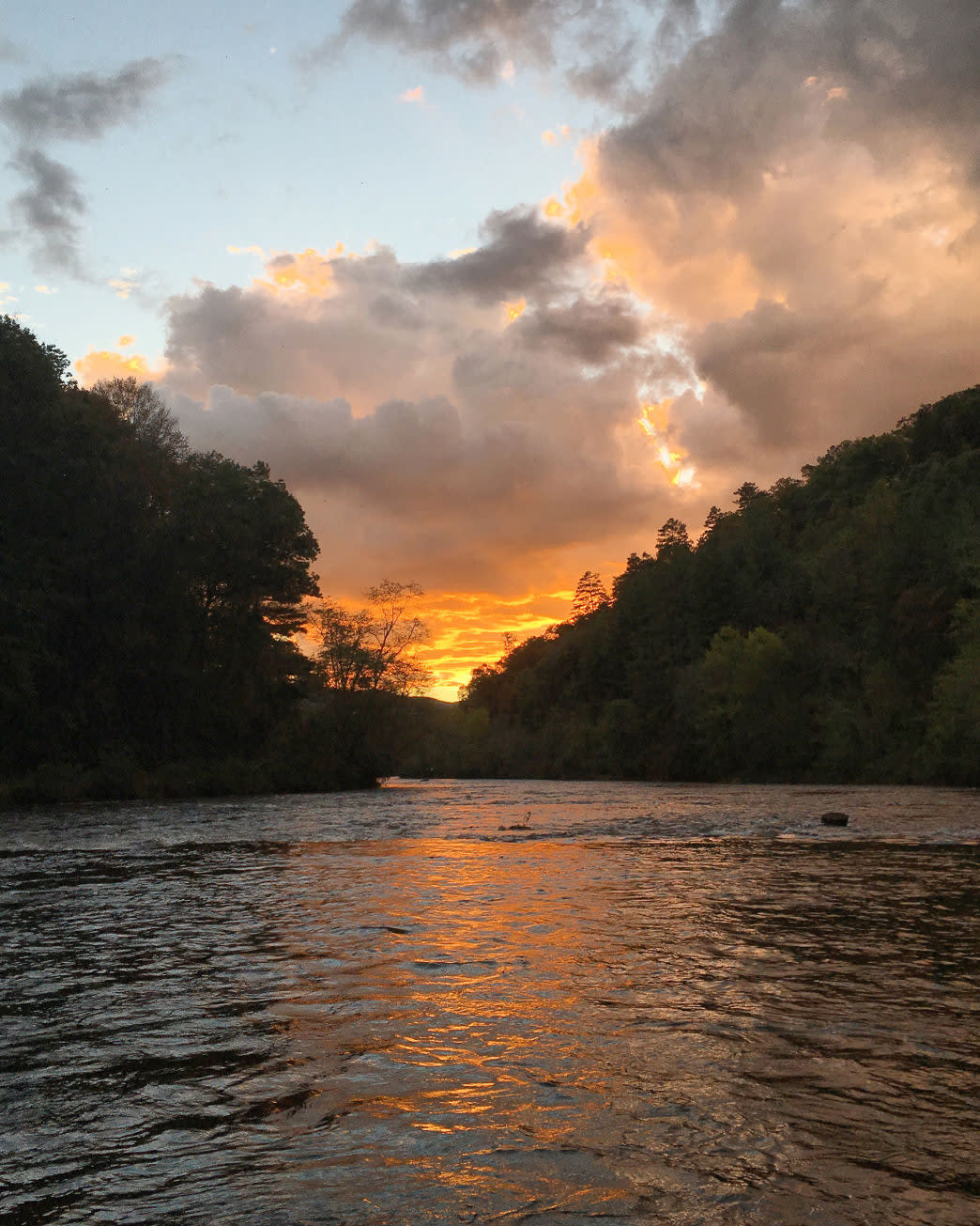 fly_fishing_blog_3_0073da9d-6323-40ab-b134-aeede9e72697