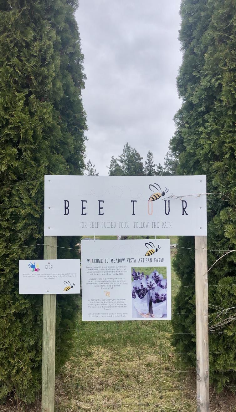 Meadow Vista Honey Wine - Bee Tour