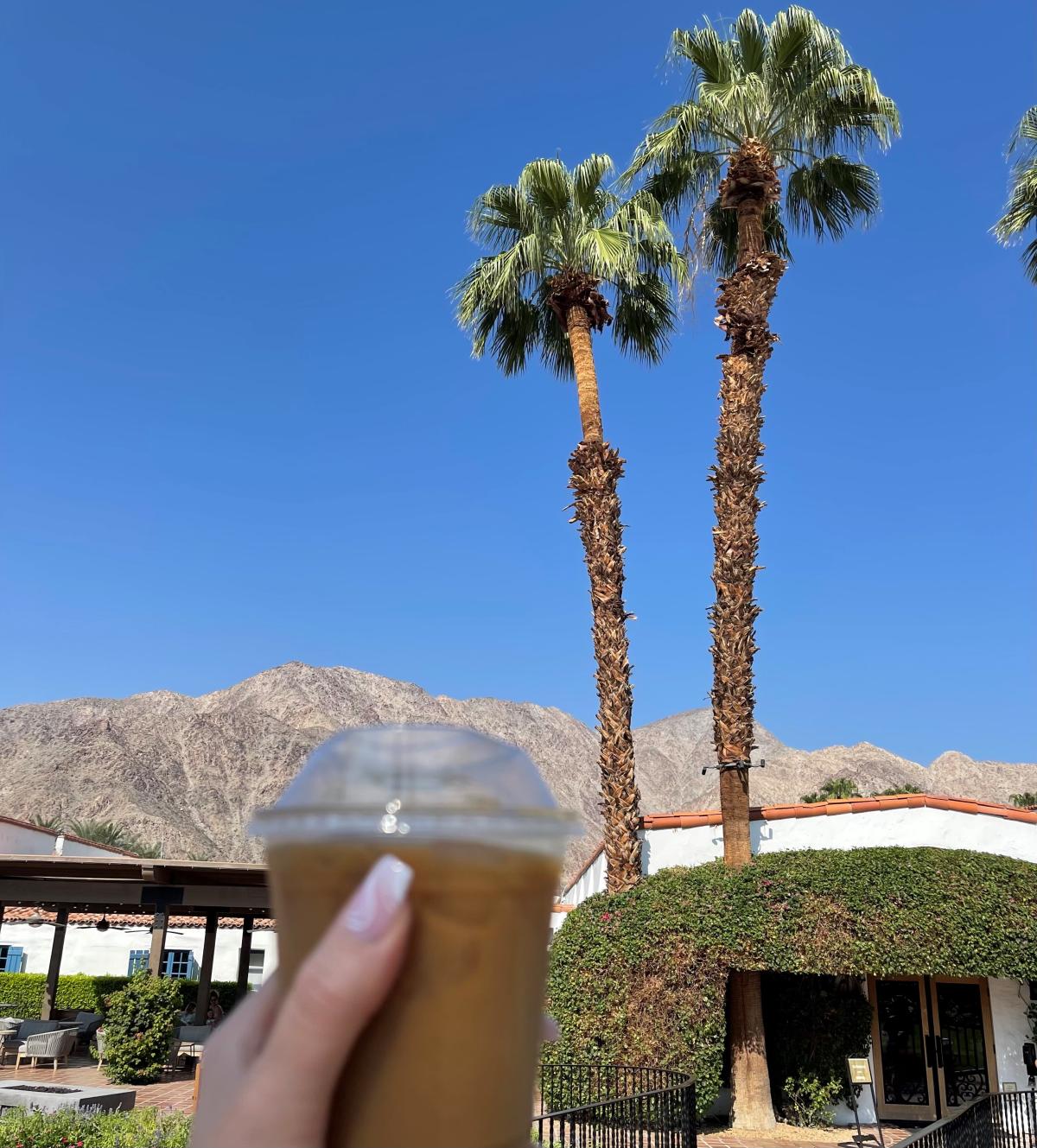 Coffee in front of palm trees and the sky