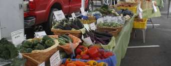 Farmers Markets Things To Do In Knoxville Tn