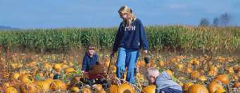 Knoxville Halloween Events Free Family Friendly