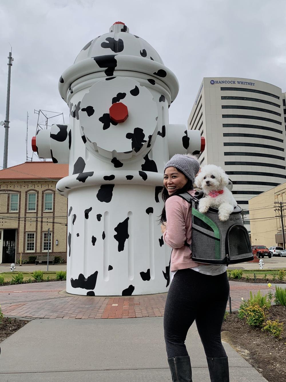 A woman and her dog check out the 24-ft high Giant Fire Hydrant located in front of the Fire Museum of Texas.