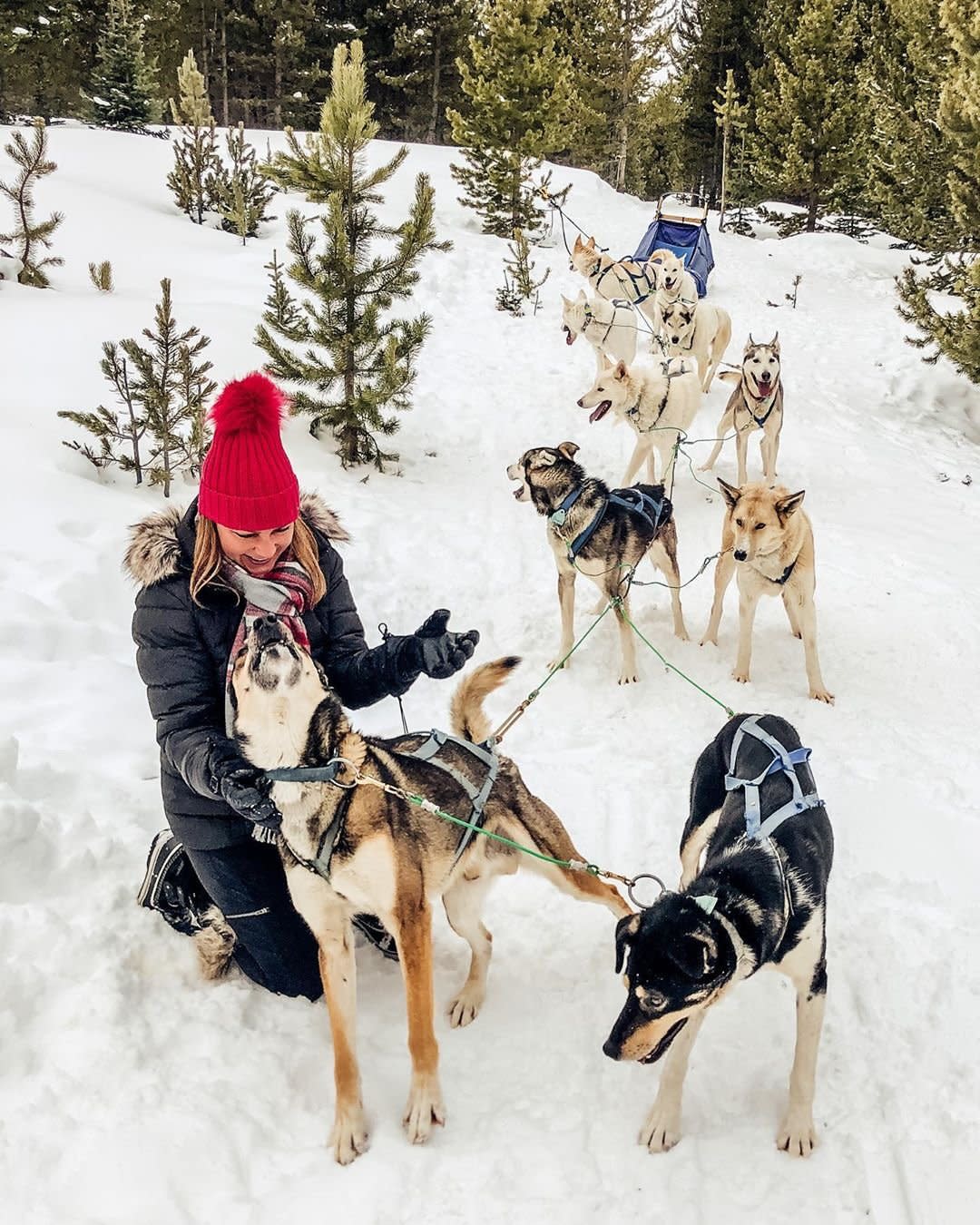 Photo by user hauteholidaystravel, caption reads Dog (sledding) days of winter 🐾❄️🤗 #hauteholidaystravel #dogsledding #bigsky #moonlightbasin #montanamoment