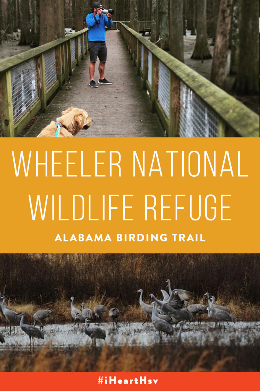 Wheeler National Wildlife Refuge Pin