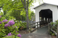 Centennial Bridge with Blooms, Cottage Grove