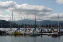 Sailboats on Dexter Lake by Debbie Williamson-Smith
