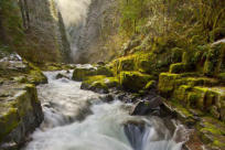 Brice Creek Falls by David Putzier