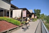 Cycling on the Willamette River Bike Path by Brandon Fralic