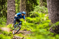 Mountain Biking Alpine Trail by Anthony Smith