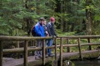 Hiking in the Cascade Mountains, McKenzie River Trail