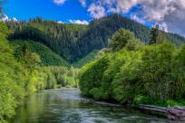 McKenzie River, Oregon Cascades by Mike Shaw