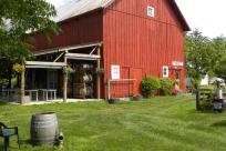 Saginaw Vineyard Tasting Room, Cottage Grove, Willamette Valley by Natalie Inouye