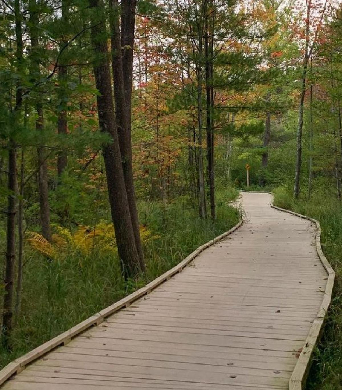 green circle trail fall