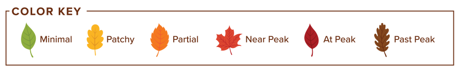 Fall color key with colored leaves labeled Minimal, Patchy, Partial, Near Peak, At Peak, Past Peak