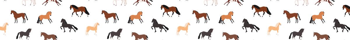 dartmoor pony graphic