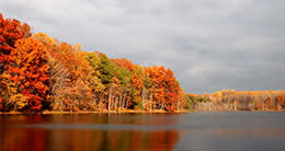 Burke Lake - fall