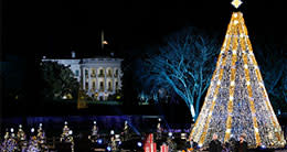 National Christmas Tree - DC Holiday Traditions