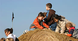 fall festivals - kids on hay bales