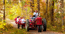 Herndon - Frying Pan Farm Park - Tractor - Family