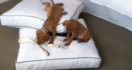 Heavenly Pet Beds