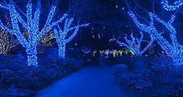 Winter Walk of Lights - Meadowlark Botanical Gardens