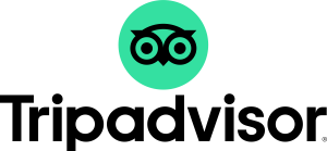 Trip Advisor Logo