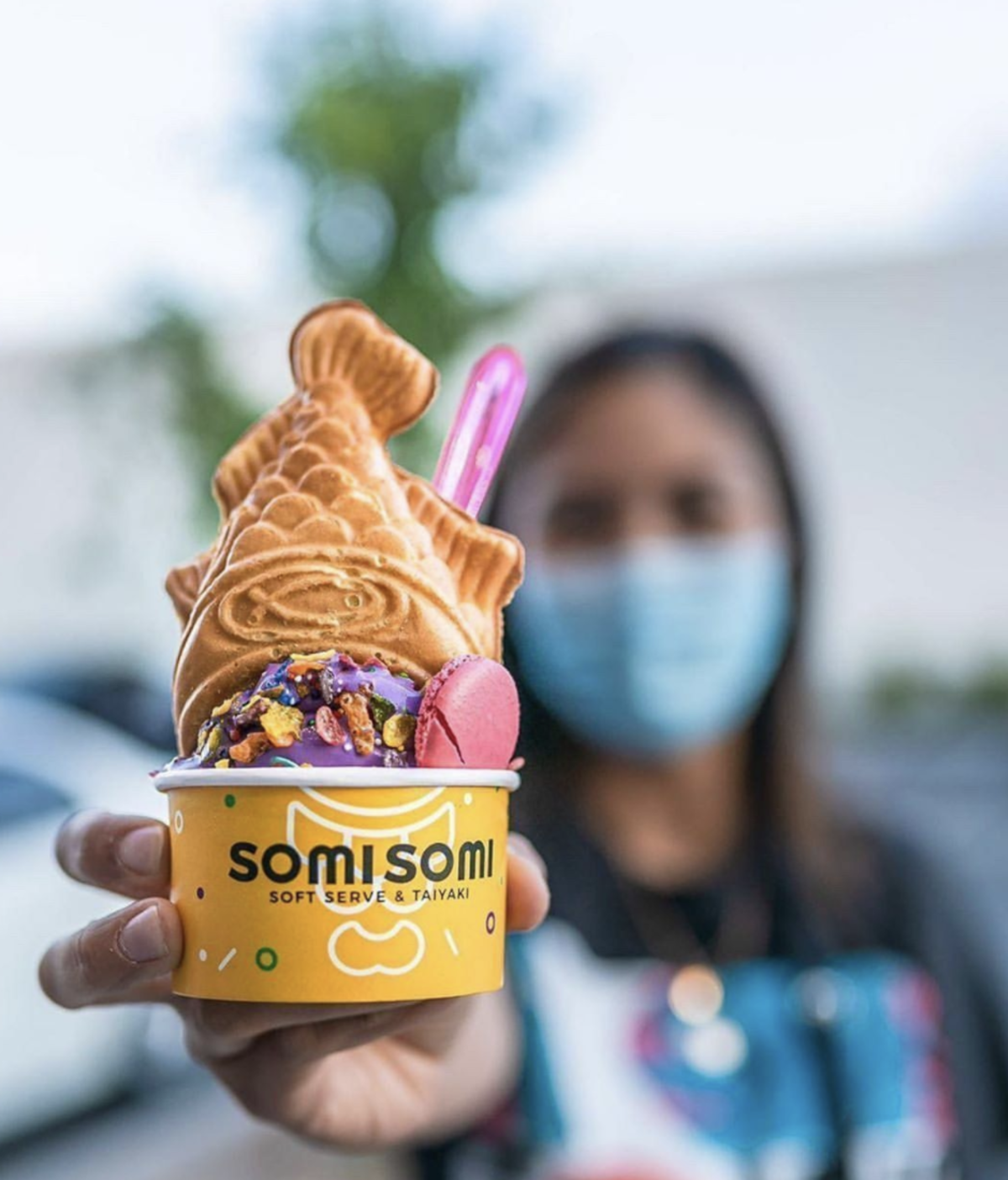 Somisomi