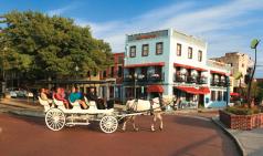 Horse carriage ride in historic downtown Wilmington