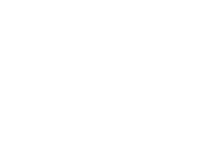 White wordmark that says 'Virginia Sports Fest'