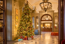 Christmas Tree in the reception at University Arms