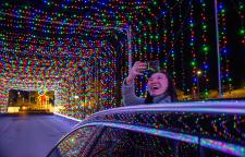 Person Taking A Picture At The Magic of Lights In Daytona Beach, FL
