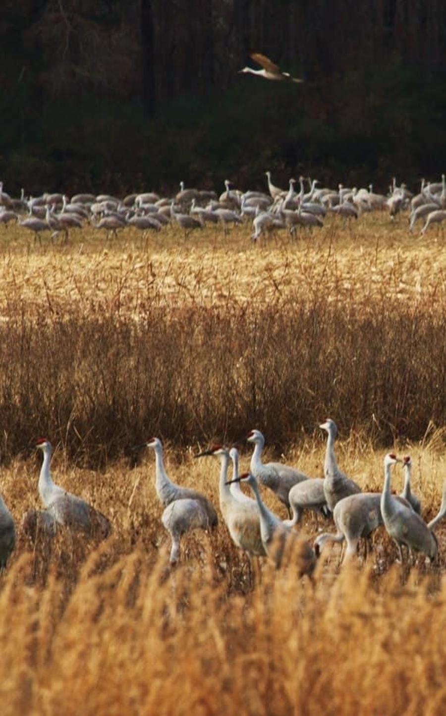 The Wheeler National Wild Refuge.