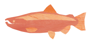 Stewart Island Salmon icon