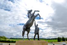 newmarket racecourses grounds