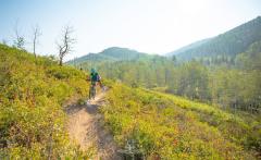 member photo library