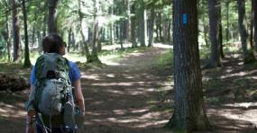 Hiking