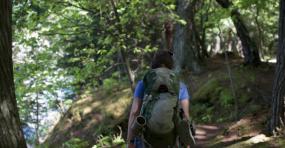 Hiking