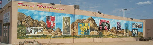 Mural15-DesertWildflowers-500