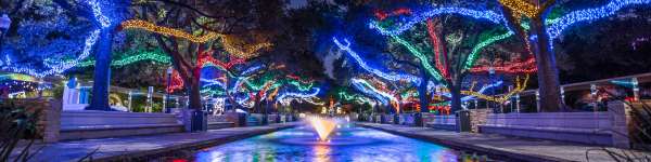 Zoo Lights