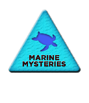 marinemysteries.png