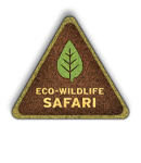 safari.png