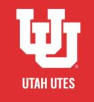 Utah Knights