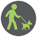dog walking icon