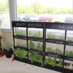 New Braunfels Food Bank