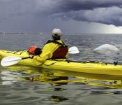 Gliding through Churchill River with Frontiers North Adventures